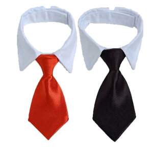 LRXv  L SNSf LplN^C p^LV[h Lp^LV[h pRXv LpRXv tH[}  plN^C L RXv Ԃ ybg ybg