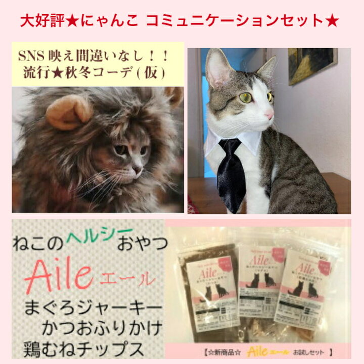 楽天市場 猫好きさんセット 無添加ねこのおやつ3種 Aile ライオン帽 紳士ネクタイ セット かつおふりかけ マグロ 鶏むね肉 ライオン たてがみ ウィッグ 耳付き 変身 コスプレキャップ かぶりもの 犬猫 猫ライオンたてがみ ネコ帽子 耳付きペット服 アーチ
