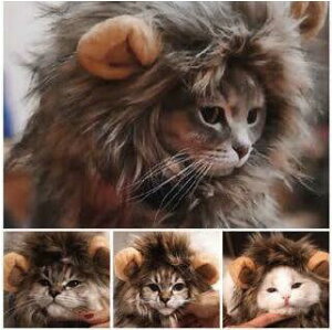 ライオン コスプレ 猫用ペット服の人気商品 通販 価格比較 価格 Com