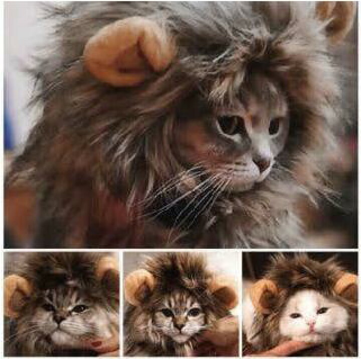 楽天市場 送料無料 超絶エモ可愛い ハロウィン 仮装 猫用帽子 猫被り物 ライオン たてがみ ウィッグ 耳付き コスプレキャップ かぶりもの 着脱簡単 猫ライオンたてがみ ネコ帽子 耳付きペット服 ペット仮装 猫仮装 犬用ウィッグ 猫用ウイッグ 猫の服 ﾍﾟｯﾄ部 アーチ