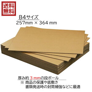  B4TCY 3~ ⋭p i{[ 100 ~ ~ iی ɏՍ HȒP { K5 Ntg F Hp  C\[ 25.7cm×36.4cm B4 i{[ lbg@ 