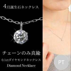 0.1ct ダイヤモンド ネックレス」の人気商品一覧 | 安い商品を通販 