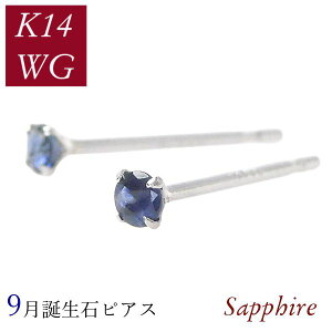 Tt@CA sAX k14wg 14zCgS[h VR 9a ꗱ fB[X 50 40 60 30 20   4{ Vv Mtg v[g p NX}X zCgf[ 