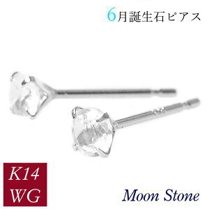 [Xg[ sAX k14wg VR 6a 14zCgS[h fB[X 50 40 60 30 20    ꗱ 4{ Vv  ޏ Mtg v[g p NX