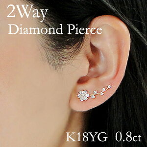 K18YGy0.8ctz2WAY t[`[t _ChsAXyz lC _CsAX S[h 18   t[sAX sAX 萔 iۏ؏ fB[X WG