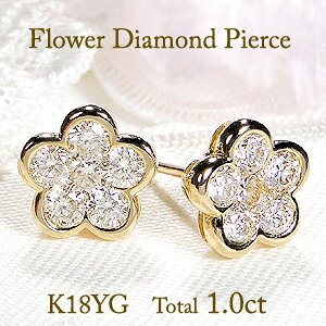 K18YGy1.00ctzt[`[t _Ch sAXyzlC _Ch sAX   t[sAX 18 S[h 18k _C sAX 萔 iۏ؏ fB[X