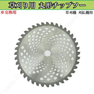 ی^`bv\[ 255mm 25.4mm 40P p XyA  蕥 L͈͂̑ȂǂɁI؂ꖡQIϋvI