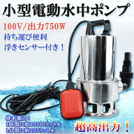 水中ポンプ 小型 電動ポンプ 100V 750W 225L/1Min 浮きセンサー 農作業 水槽 台風 災害浸水 工業設備 汚…