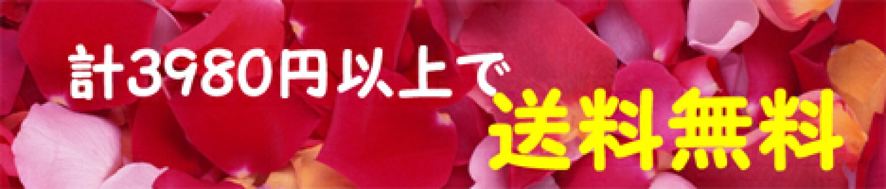 3980円以上は送料無料