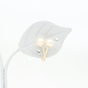 yVz K10 Wp[ C[Jt 10S[hyzybsOz