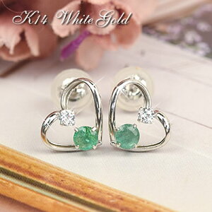 14 Gh sAX p 14k K14WG zCgS[h 5 a L[rbNWRjA CZ I[vn[g yzfB[X p av[g AM[ S  