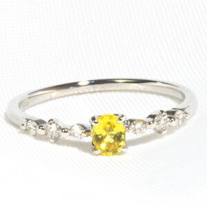 v`i Pt900 CG[ Tt@CA _Ch O w