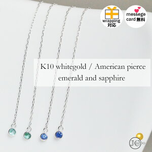 sAX AJsAX Gh Tt@C r[ h  k10 OsAX AM[Ή Mtg NX}X zCgf[ LO fB[X v[g 10k carpo