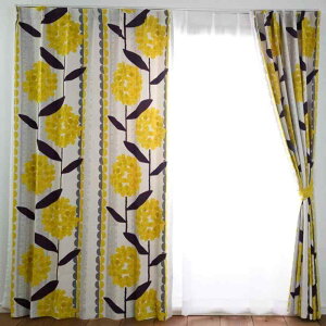 SUMINOE �Ռ��J�[�e�� �P�C�����T�X ��100×��200cm �C�G���[ 1���� V1234