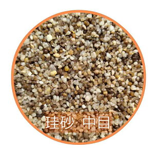 X}f    2.5kg×2 ꍻ オȂ _J Mы  RhX ǂ傤 ] \C ꍻ 썻  | (2.5kg×2)