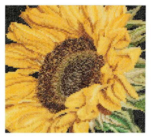 eAEO[xk[ NXEXeb`Lbg Sunflower ̃AC[_18JEg l 488A