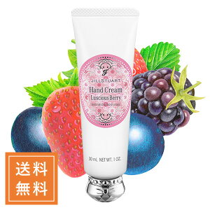 JILL STUART WX`A[g VXx[nhN[ 30g yj[Aiz `O