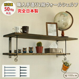 ジャパンアイウェア ウォールシェルフ アイアン 壁面収納 黒(つや消しブラック) 2段 仕様(大) 職人手作り 完全日本製 アイアンブラケット 耐荷重 50kg アンティーク 棚受け 金具 DIY 石膏ボ
