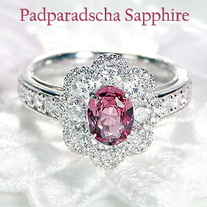 yӕʏtzpt900yMzpp`ATt@CA_Ch O  lC _CO v`i AXg[ lC  1ct  󖳗 iۏ؏ 9a Mt