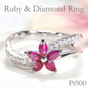 Pt900 r[ _Ch t[ Ow v`i r[ _C t[  EF[u _CAh 7a 4a t[O v[g  󖳗 iۏ؏ 