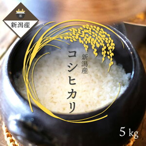 �y�ߘa7�N�x�Y�z �V���Y �����Ђ���ꓙ�� 5kg�i���āj �b �� ���� ���� �V�� �R�V�q�J�� 5�L�� �M�t�g �~ �v���[���g ���Ε� ���蕨 �����i �������� ��z�t���[�c