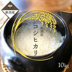 【令和7年度産】 新潟産 こしひかり 10kg ｜ 米 お米 白米 新潟 コシヒカリ 10キロ ギフト 春 プレゼント 贈り物 贈答品 送料無料 上越フルーツ 新生活 応援
