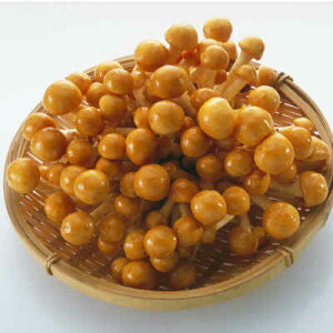 y z tȂ߂ 嗱 15pbN 1 VY b Ȃ߂ iR 嗱Ȃ߂ ԂȂ߂ Ɩp  VN zt[c