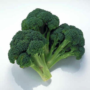 y{B  z ubR[ 12 1 kCY b Ԃ[ ΉF  T_ Ɩp  VN zt[c