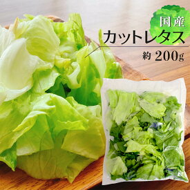 カットレタス ミックス 約200g 1袋 ｜ レタス カット野菜 時短 料理 サラダ 上越フルーツ
