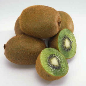 _ސ쌧Y O[ LECt[c 1 zt[c