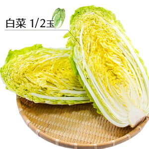 쌧Y  1/2Jbg b ͂ nNTC  g؂ GR  zt[c