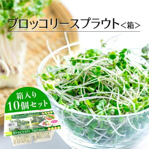 y   zubR[XvEg WpbN 10pbNb ubR[ XvEg ܂Ƃߔ  T_ t킹 zt[c