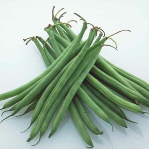 yō ozkCY 񂰂 50g 1pbNi񂰂 CQ B CQjzt[c