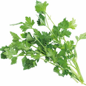 【税込 バラ売り】長野県産他 イタリアンパセリ 約20g 1パック(イタパセ ハーブ パセリ)上越フルーツ