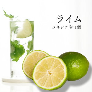 ライム 1個 メキシコ産 |ライム 緑 柑橘 レモン フルーツ 上越フルーツ