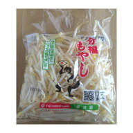 【税込 バラ売り】栃木県産他 もやし 250g1袋（モヤシ）上越フルーツ
