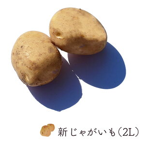 Ⴊ ʁi2Lj10kg  o kCY b Ɩp Ⴊ WKC Ⴊ Ⴊ  VN  Y VN zt[c