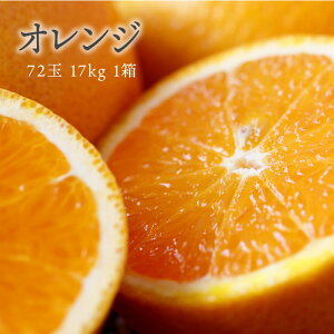 y{B  ōzAJY IW 72  17kg 1 iƖp 񂶁jzt[c