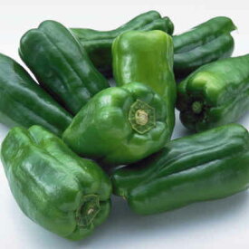 【税込 バラ売り】高知・茨城県産他 ピーマン 約150g 1袋（ぴーまん ピーマン パプリカ）上越フルーツ