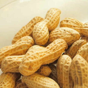yō ozY Ԑ 250g 1܁i bJZC s[ibc ߕ Ԃjzt[c
