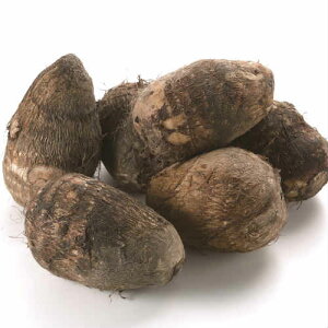 { ؁yoz 剳iʂƂ߁j 1kg L Z~Eiό`j V ܐY 1 bƂ  TgC 1L LTCY  VY ܐ zt[c