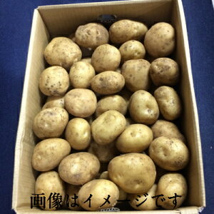 y ōz p   VႪ L10kg zt[c VႪ  Ⴊ 10kg