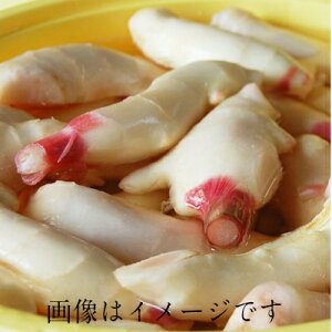 新生姜」の人気商品一覧 | 安い商品を通販サイトから探す - 価格.com