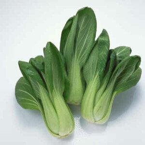 y{B  z `Q 2`3 10 1 QnE錧Y b 񂰂 񂰂񂳂 [   Ɩp  VN zt[c