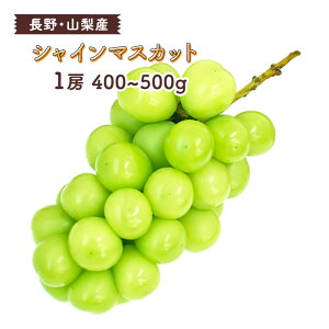 VC}XJbg [i450gȏj Y b Ԃǂ uhE  }XJbg  R { ʕ zt[c