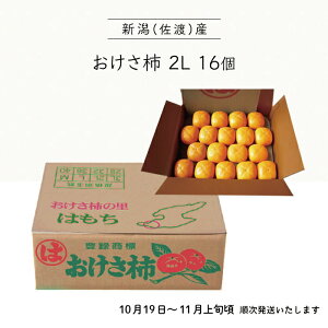 y{Bz` 2L 16 n[t 1il VnY ` JL ʕ V n H  { Mtg v[g 蕨 i p J zt[c