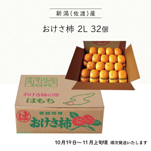 【本州送料無料】おけさ柿 2L 32玉 2段詰 新潟佐渡産 | 柿 カキ 果物 新潟 佐渡 ギフト 秋 おすすめ 旬 プレゼント 贈り物 贈答品 送料無料 上越フルーツ