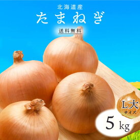 【送料無料】北海道産 たまねぎ L大 5kg 1箱 ｜ 玉ねぎ タマネギ 玉葱 玉ネギ オニオン 箱 まとめ買い 野菜 根菜 業務用 上越フルーツ