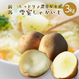 y Ⴊ ozkC Y  Ꮊ d Ⴊ iLM`2Lj3kg 1܁i Ⴊ WKC |eg IjI ؁jzt[c