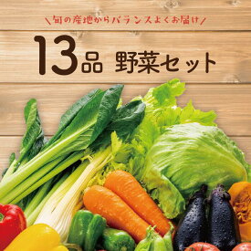 【本州送料無料】13品 野菜セット 野菜詰め合わせ 新鮮野菜 通販 旬の野菜取寄せ 詰め合わせ 贈り物 仕送り 食品 上越フルーツ クール便 冷蔵保存